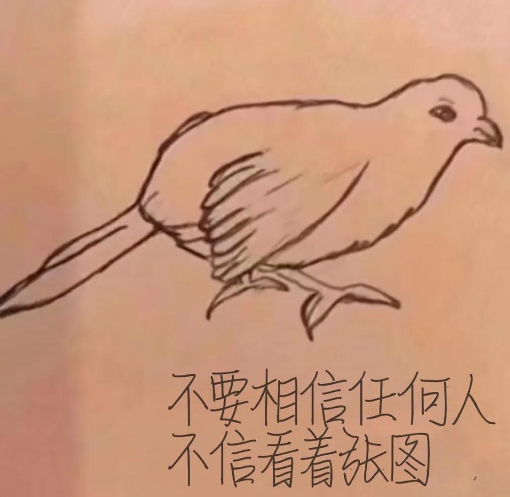 看图说话