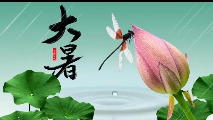 家人们，今日大暑，骄阳似火，38℃、39℃已成常态，部分地区更是要挑战“40℃+