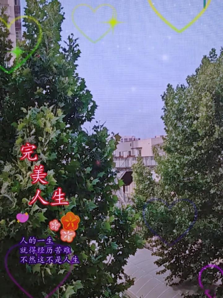 同一位置
每天一张照片
天在变
景在变
心情也在变
一切都在变
越来越美好