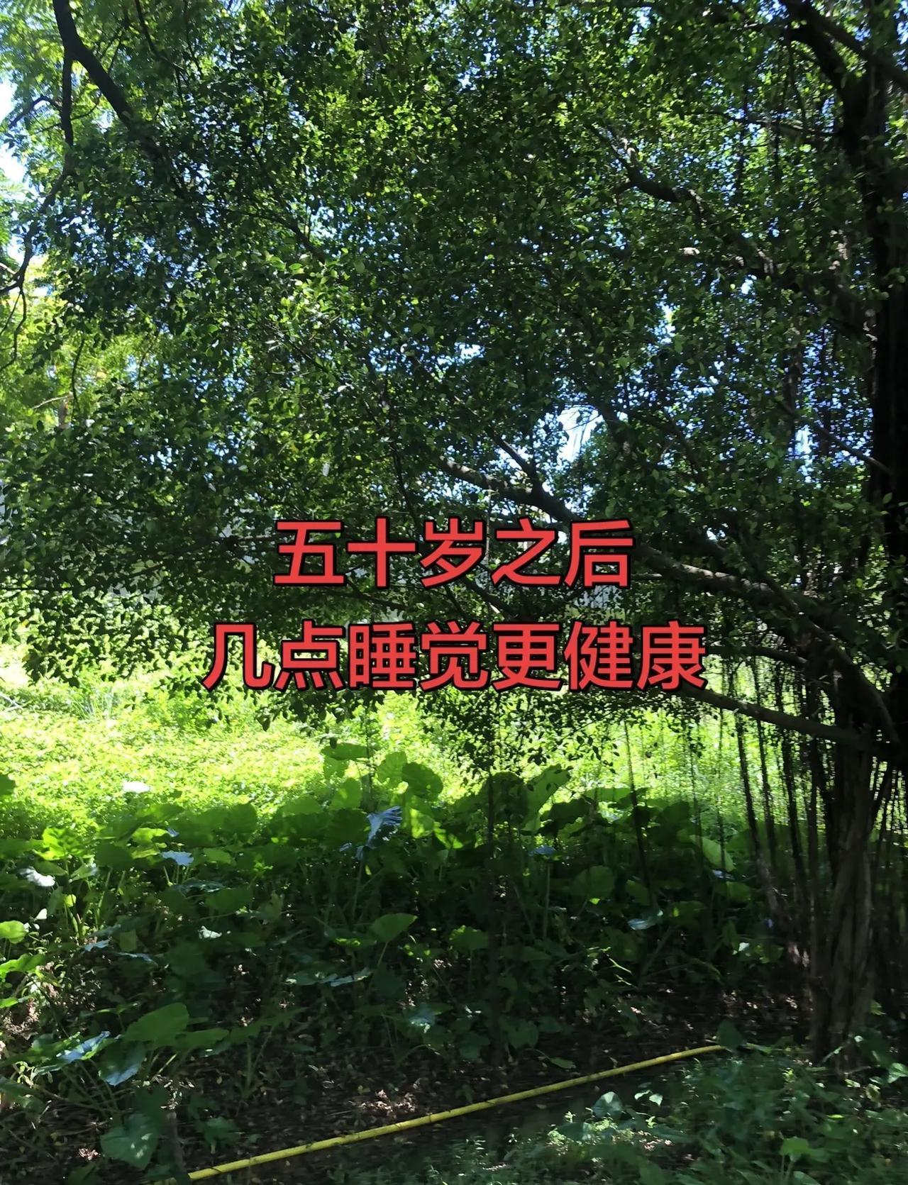 ～～2026澳门國乒乓球 单打世界杯女单1/4中国选手孙颖莎战七局以四比三胜埃及