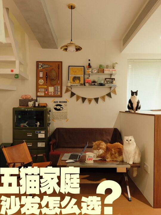 五猫家庭沙发怎么选？！进来学～