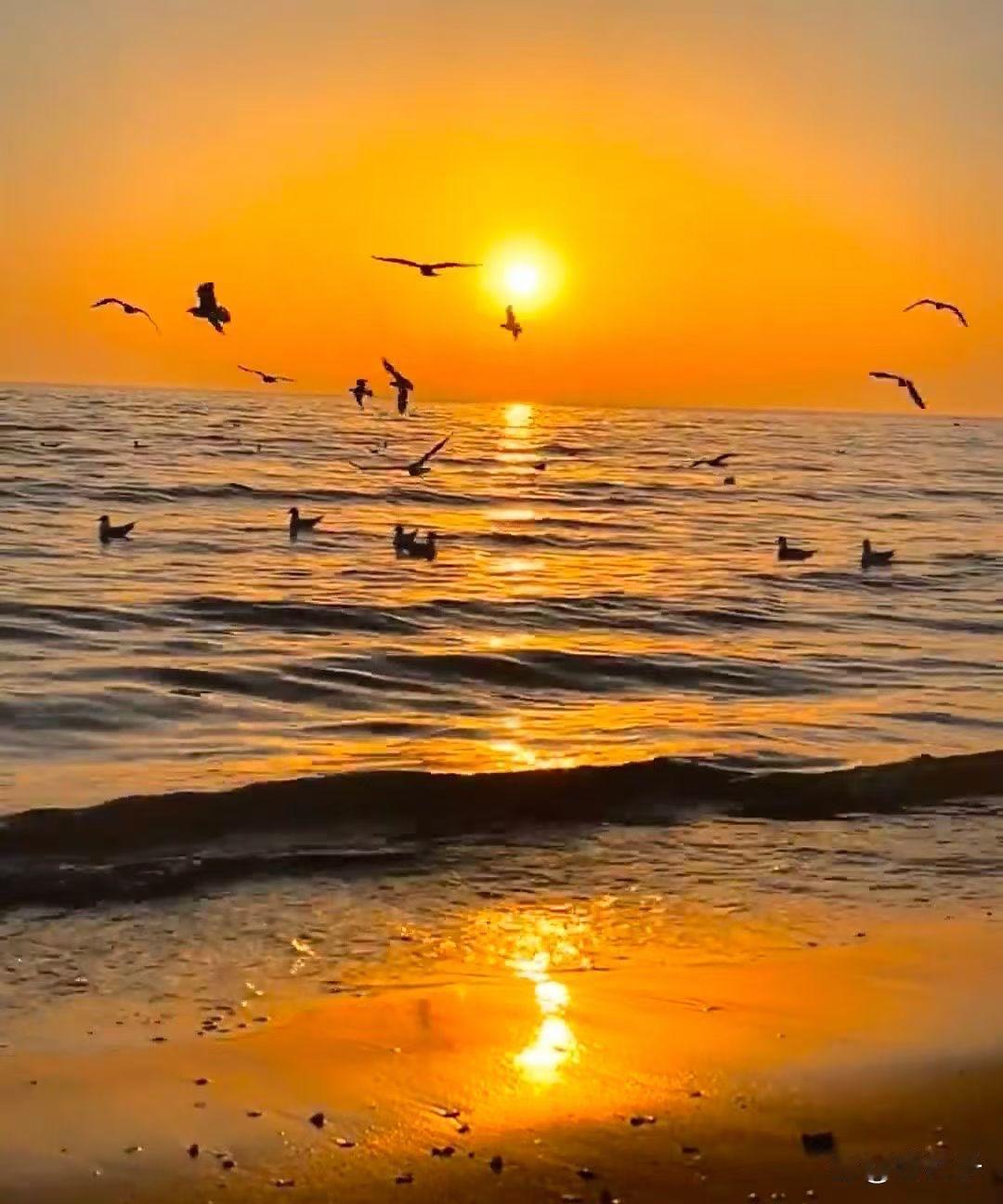 江南好风景

江畔楼台倚翠岑，
南风吹皱一池金。
好山好水留人醉，
风送荷香入衣