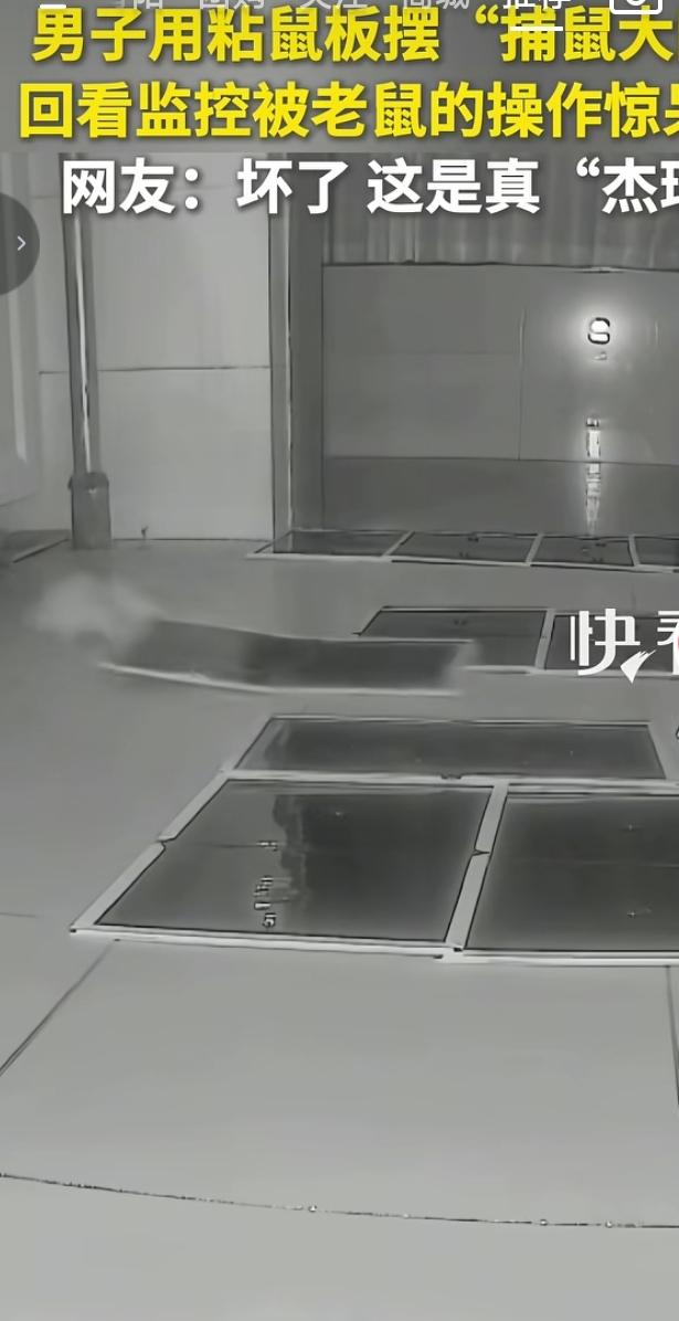 捕鼠大阵反被老鼠拿捏
 
男子家里闹鼠患，为了逮住老鼠，特意在地面密密麻麻铺开好