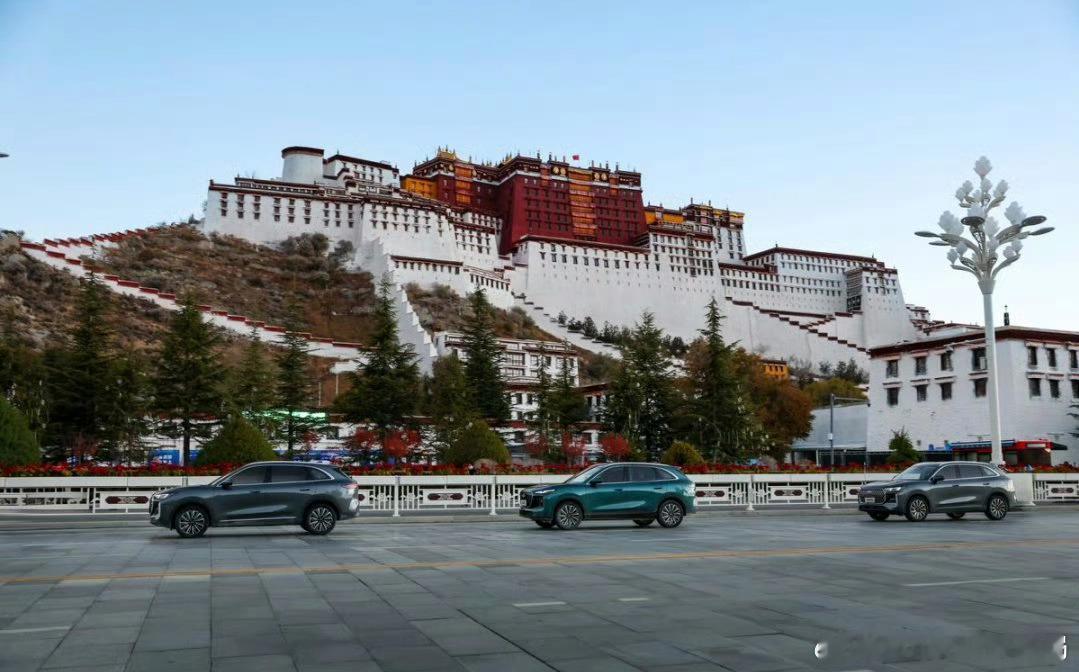 自驾西藏的easy模式“世界高城，驭鉴冠军——第五代瑞虎8预售发布”活动在拉萨举