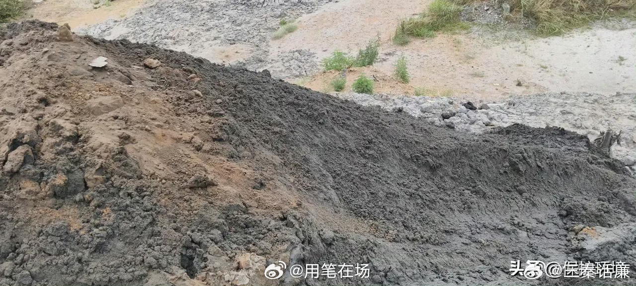 神木市大柳塔镇东润能源有限公司门口对面直接摧毁林地、倾倒废弃的煤泥、垃圾、杂料等