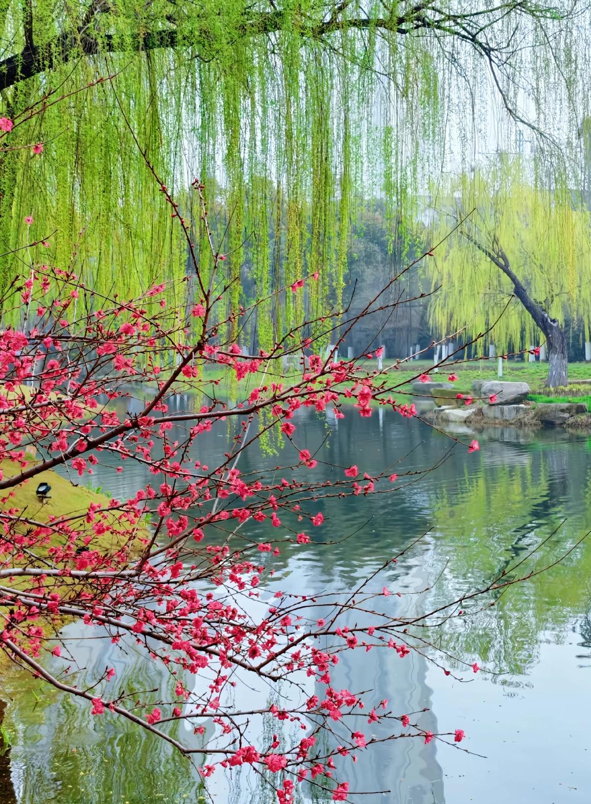 上班族带饭,会很丢人吗?上班族带饭，会很丢人吗？
我觉得一点都不丢人，反而特别酷