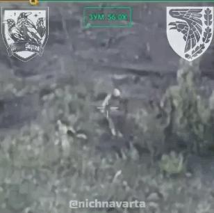 乌克兰对战场随地大小便的不文明行为进行专项整治行动。1名俄军士兵无视禁令，准备就
