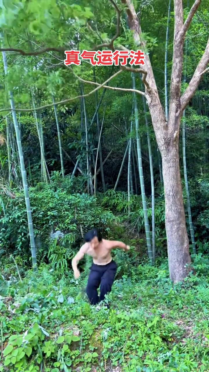 真气运行法。