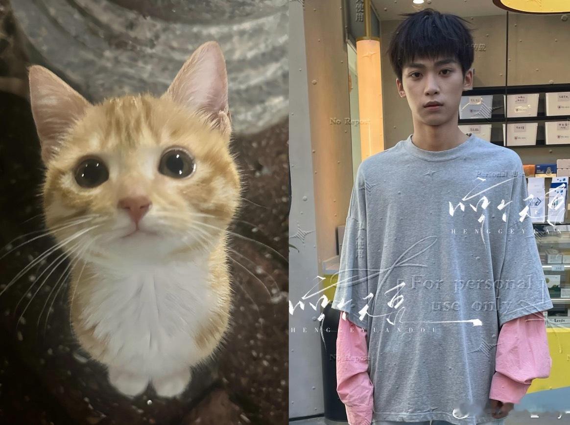 谁家的大眼萌咪🤏🏻 ​​​