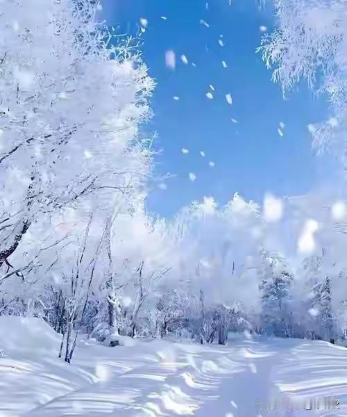 北国风光，千里冰封。
万里雪飘。
梅花欢喜漫天雪，
飘飘洒洒天上来。
玉树琼花添