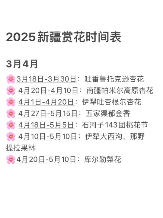 新疆旅游！！！被严重低估的赏花小众路线