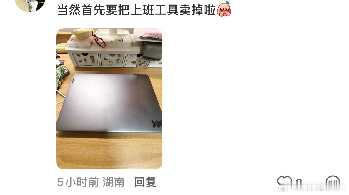 卖掉了爽爽哒卫龙魔芋爽联名闲鱼 《重生之被逼疯的打工人把公司卖掉了》疑似打工人上