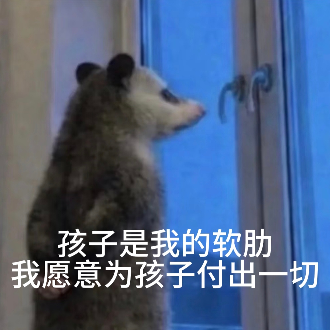 分享图片 