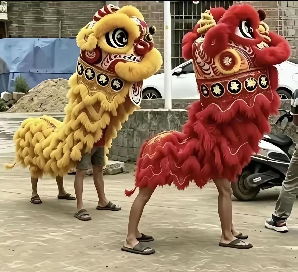 因这两头狮子，两广兄弟吵起来了。都说自家没有那么瘦的狮子，一看就是营养不良。最后