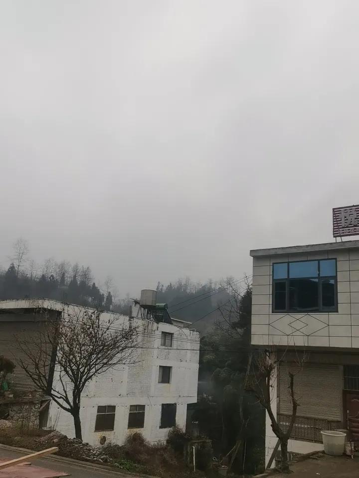 今年冬天的不同