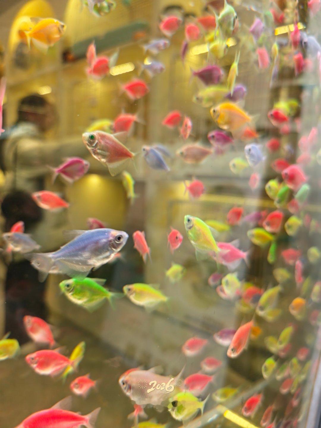 为什么和最好的朋友互删那就说明只是表面朋友表面上最好实际感情不够深入不是真正的最