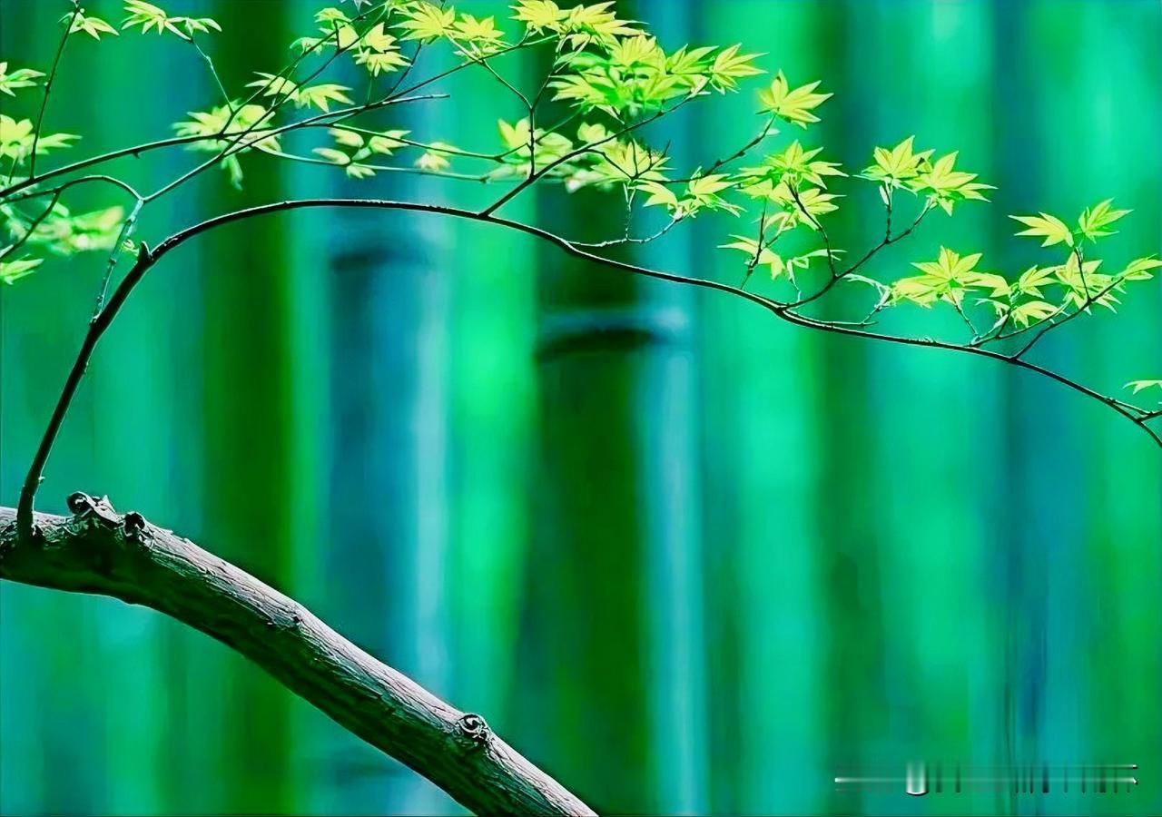 下联：长安夜雨透窗寒
上联：有请雅士[玫瑰][玫瑰][玫瑰]