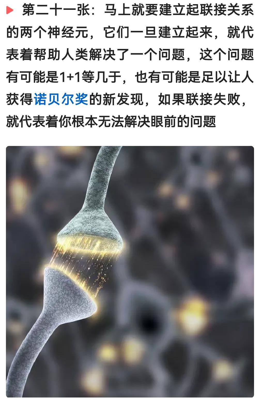 看到此文，不禁引发思考。
谁来指引图中这两个神经元建立联系？
按西医的思路是未知