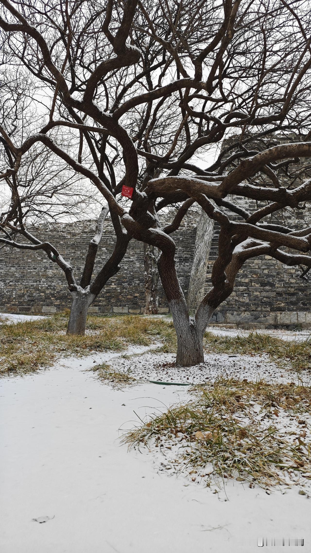 这一回，天气预报终于不再骗人了[捂脸]今天小雪如期而至。故宫的雪中漫步，有多少人