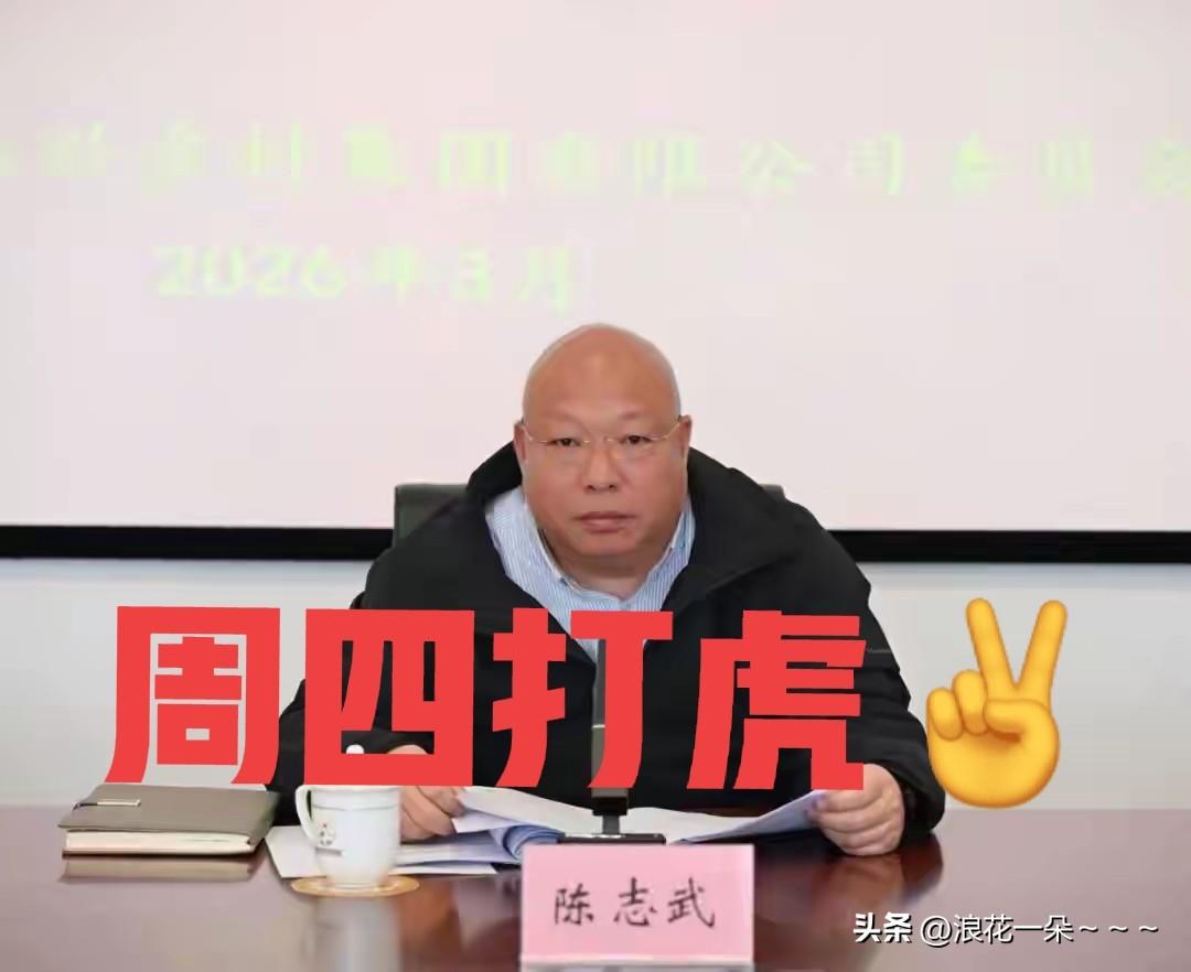 就在刚刚，
看了“界面快讯”新闻，“陈志武”被查，于是看了一下他的工作履历，52