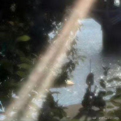 社会主义核心价值体系是“兴国之魂”，建设社会主义核心价值体系是推动文化大发展大繁