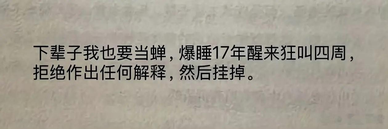 最摇滚的蝉 ​​​