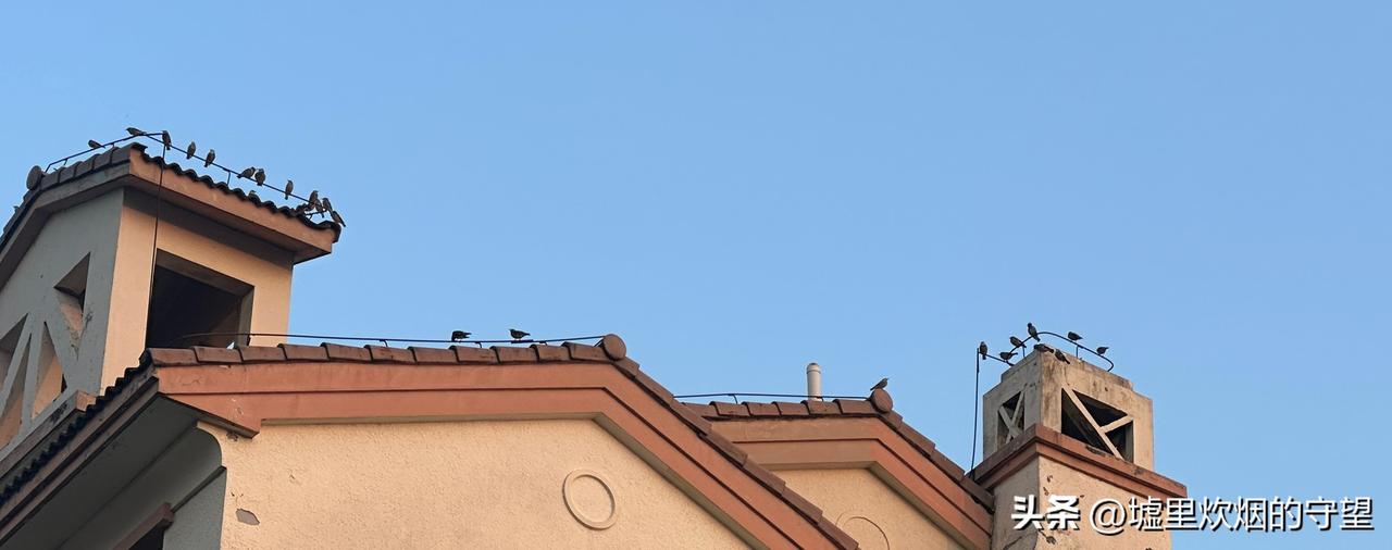 晚上吃饭时和儿子聊天，关于我同事儿子的学习问题。

同事中午来店里和我聊天，说看