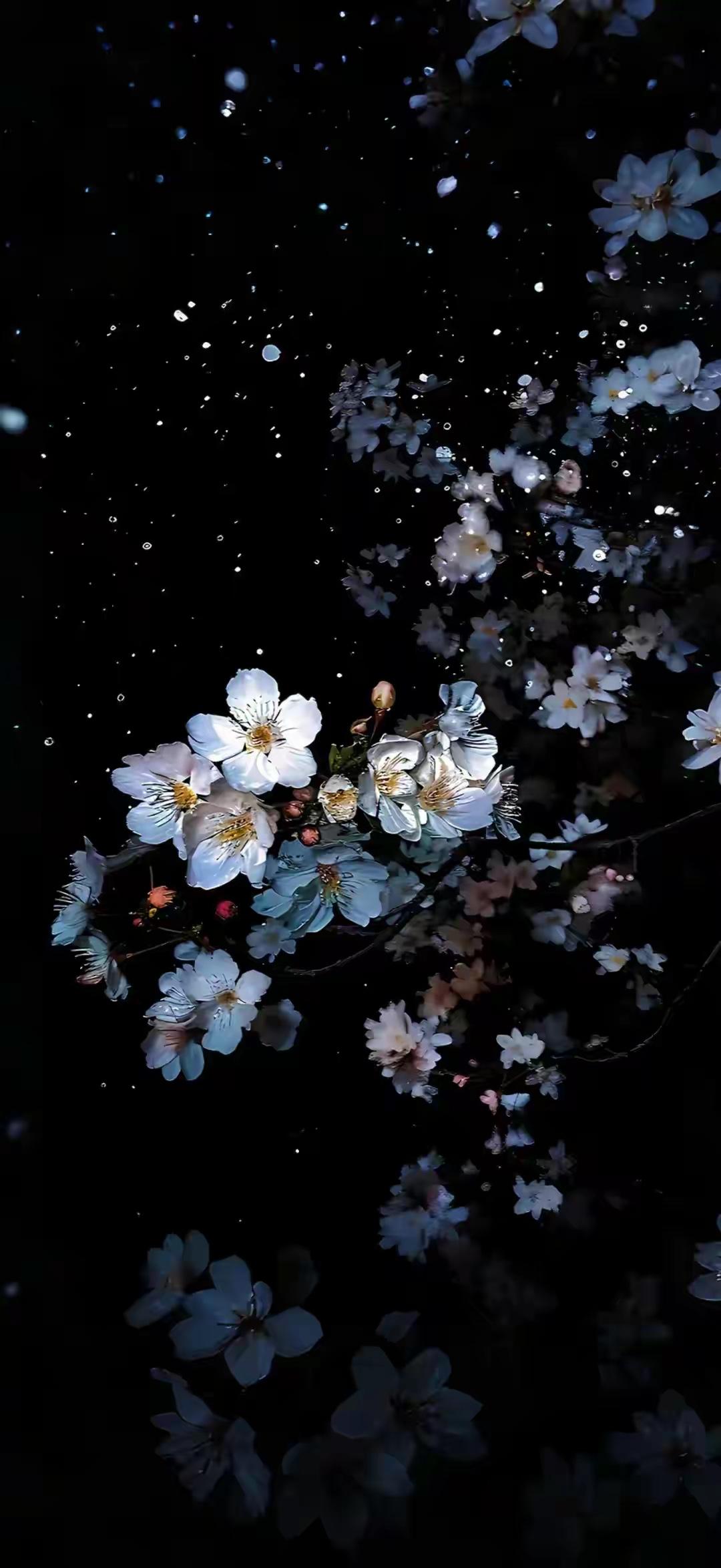 在江湖的风云变幻中，有一座神秘的剑庄，名为“凌云剑庄”。剑庄庄主林羽风，是江湖中