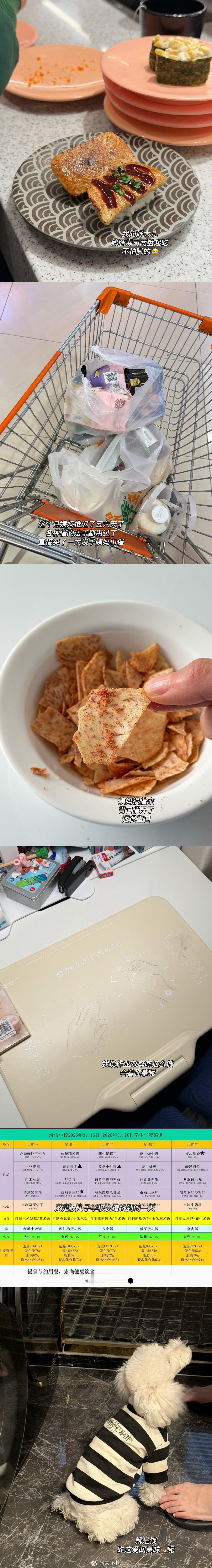 生活碎片 plog.269 