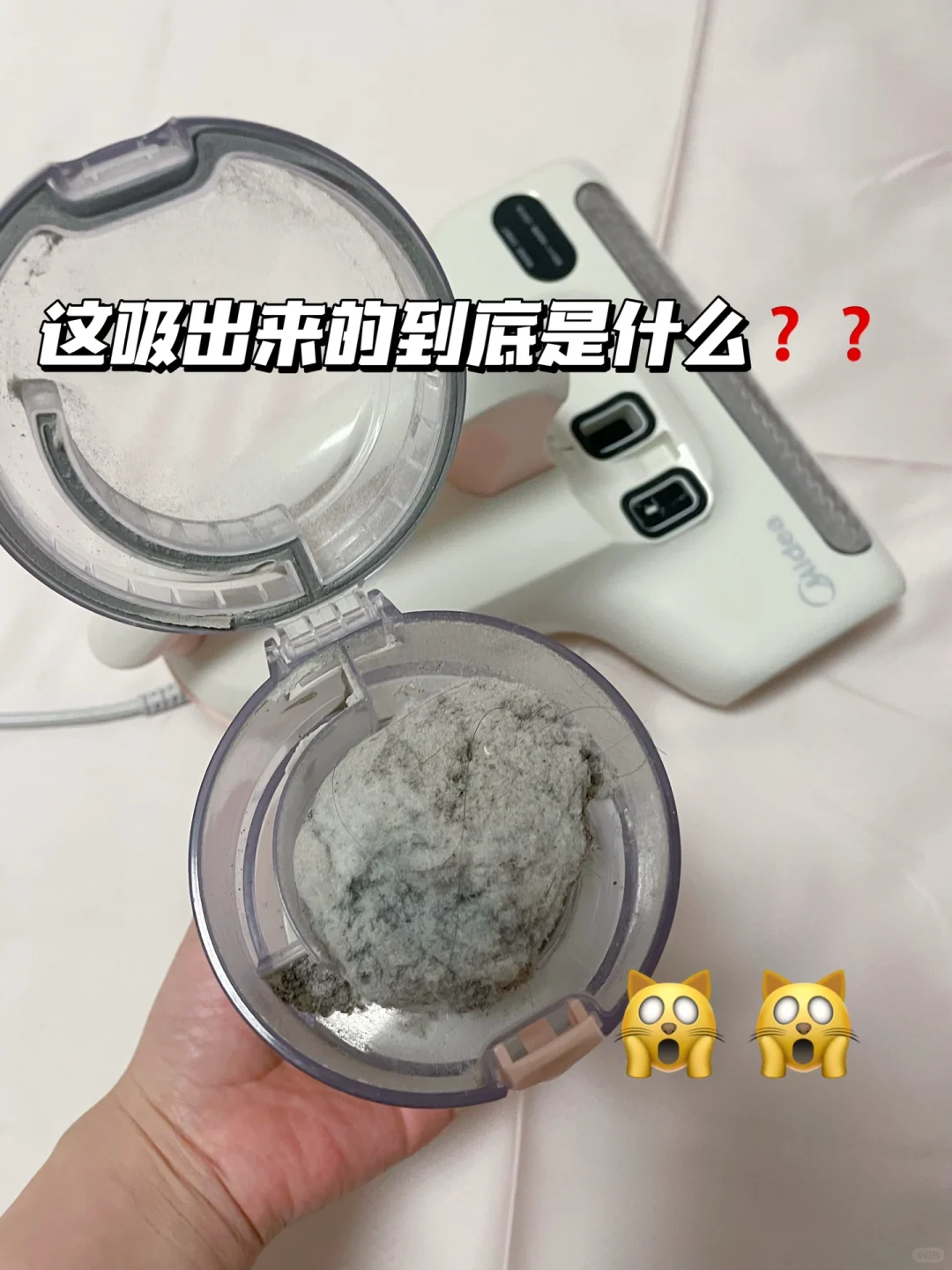 姐妹们，除螨仪里吸出来的到底是什么？