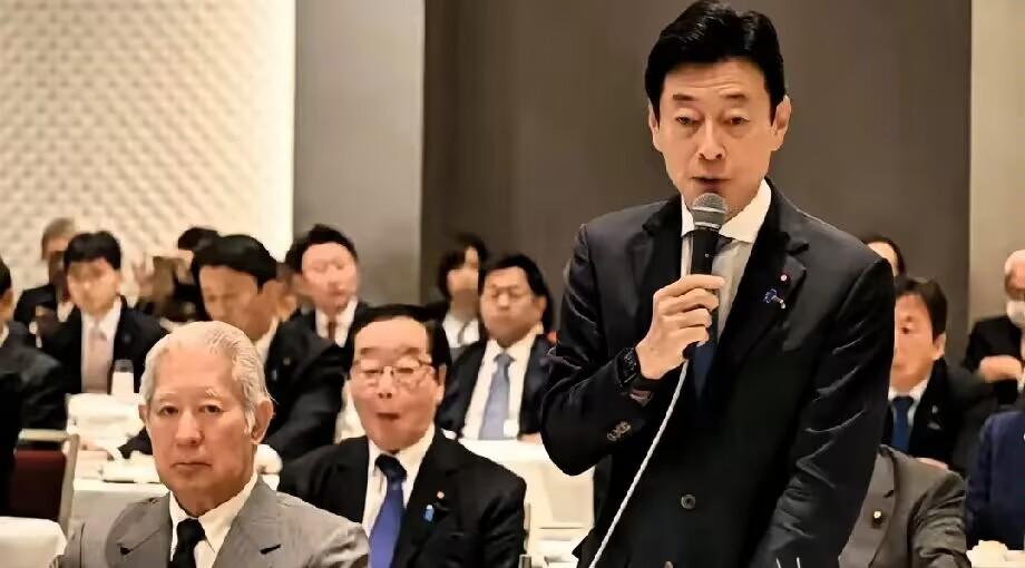 日本要访问北京了！

根据日本方面在5月3日透露，日本自民党选举对策委员长西村康