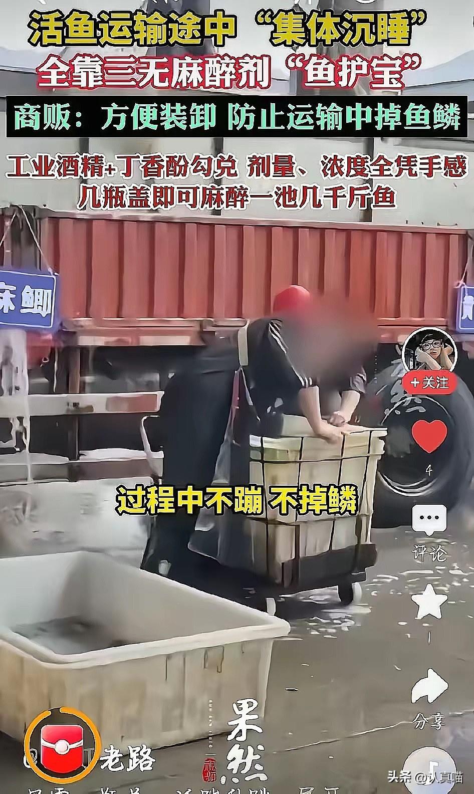 爱吃鱼的朋友，
看完这黑幕真想把桌子掀了！
多地水产商贩为了让鱼少掉鳞好运输，偷