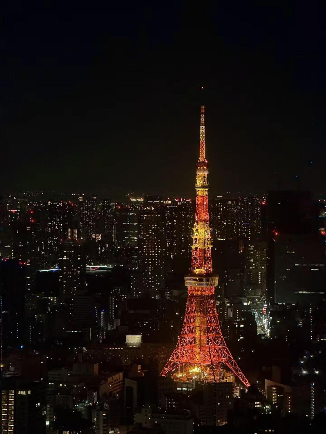 在东京的夜里沉醉 Tokyo东京 东京都 日本