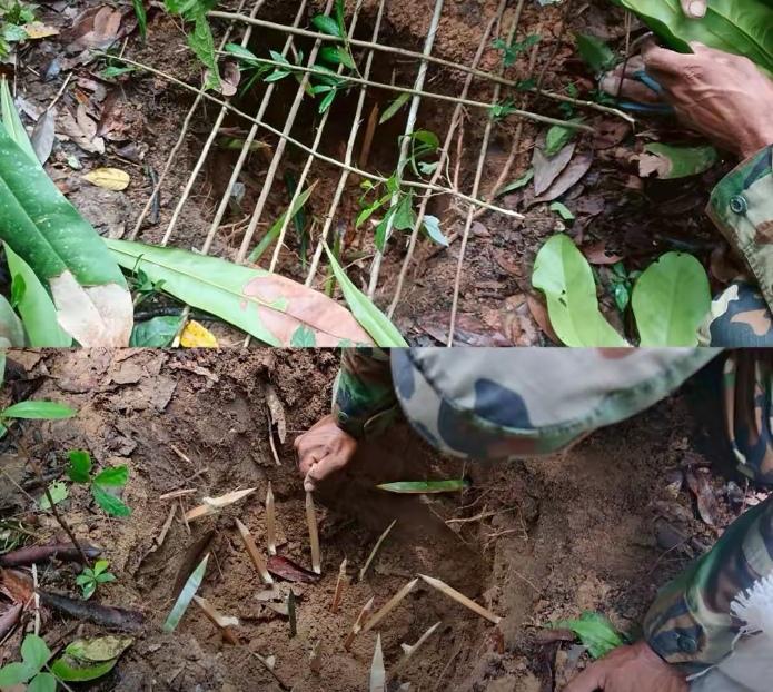 泰柬，为什么再次爆发冲突？

12月7日泰柬再次爆发冲突，直接导火索是边境地雷事