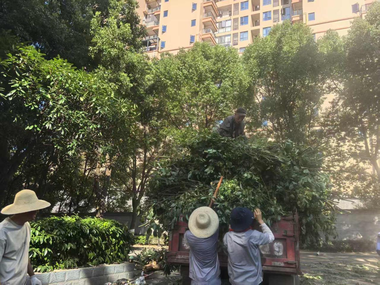 我的今日状态：😁轻松愉快
我这里的天气：☀️晴天：大院内的环卫工、园林工在高温