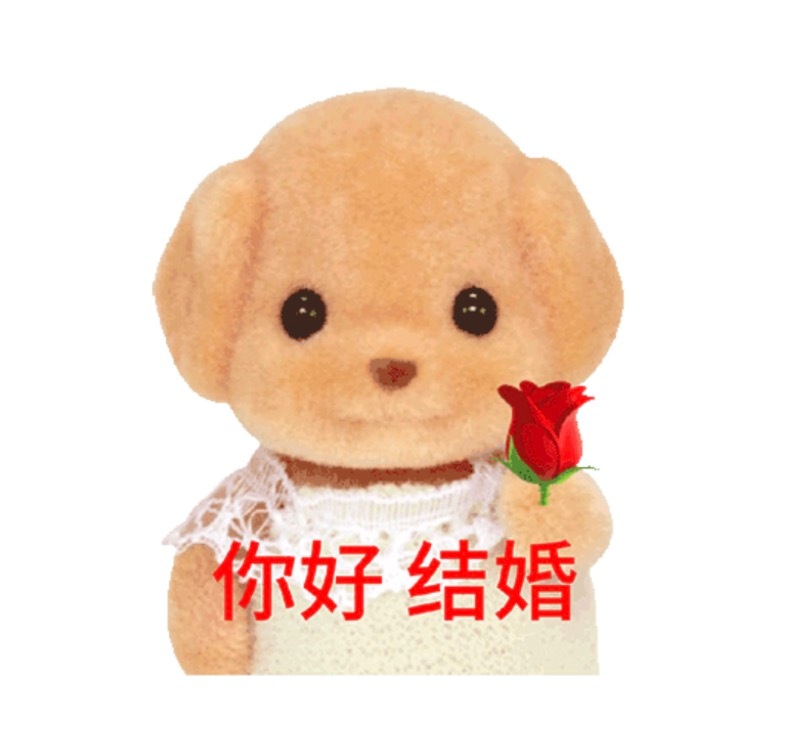 终于有人吐槽现在的婚礼流程了 如果不是想收份子，我觉得婚礼都可以不办[流鼻血]两