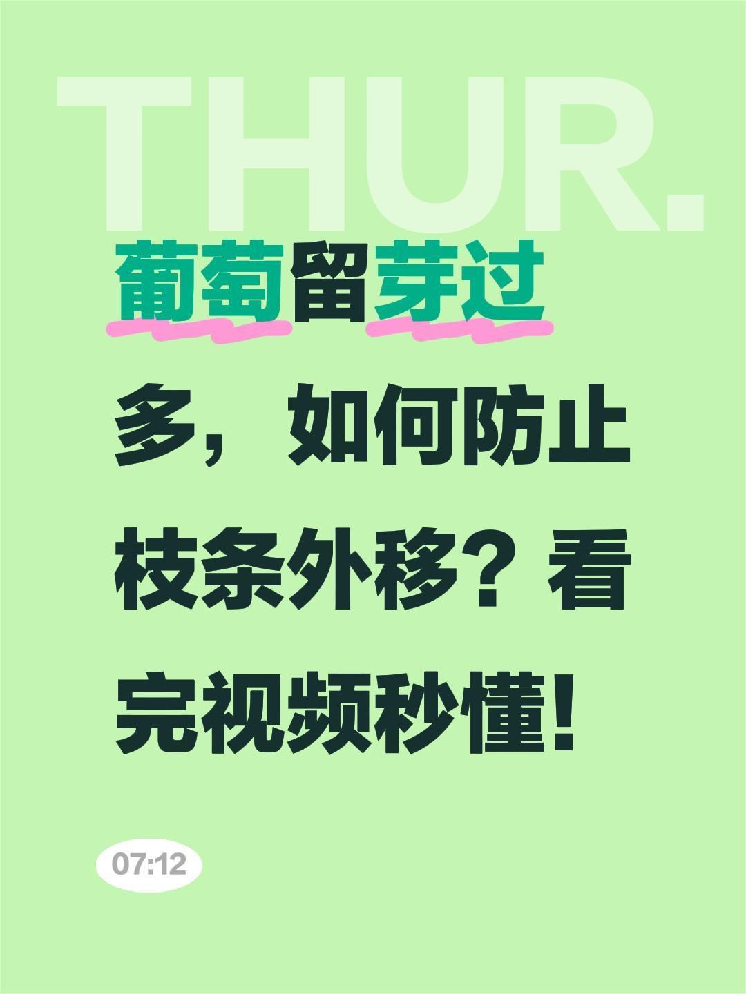 葡萄留芽过多，如何防止枝条外移？看完视频秒懂！
葡萄留芽多枝条外移？一招搞定！
