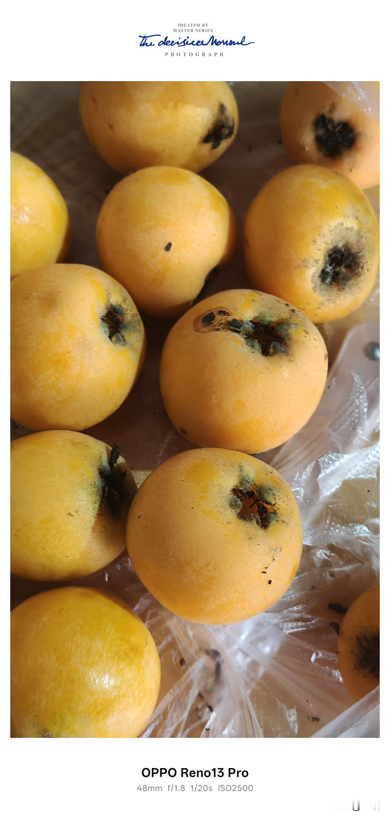 在资阳市雁江区八粮堰的农村，两块钱一斤的枇杷自由，是农村独有的甜✨
 这里的枇杷
