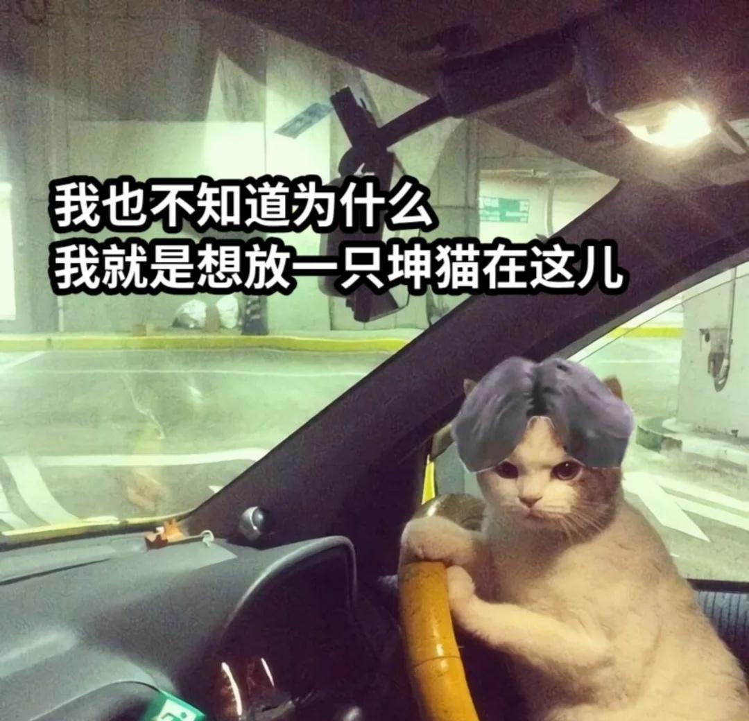 今日梗图
我坚持每日一更好吧
梗图 内裤种草 梗图meme meme
此图有梗