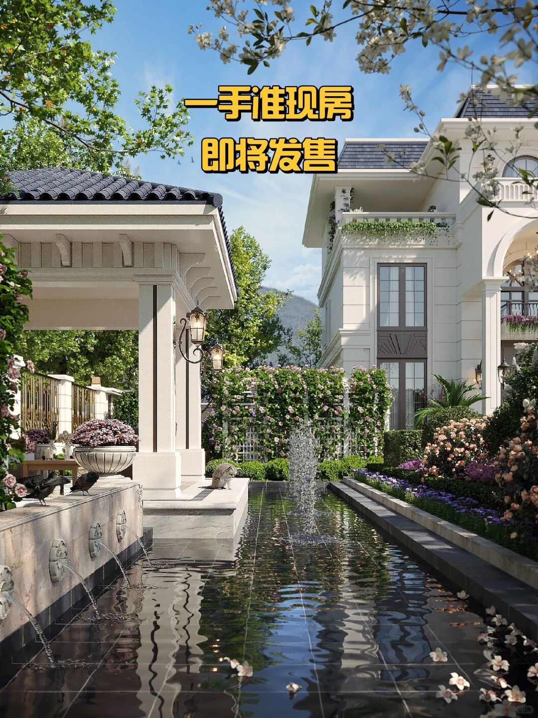 一手独栋准现房，即将发售❗❗❗
