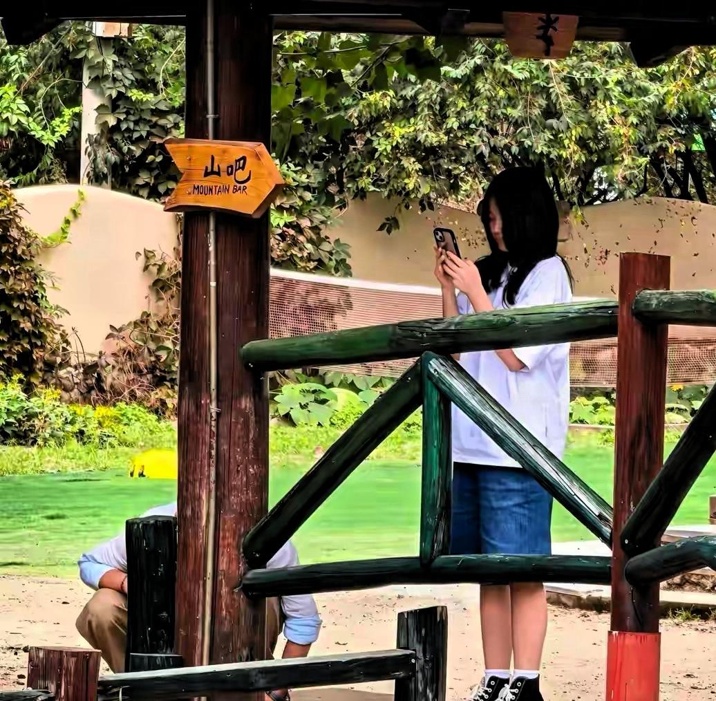 谁能想到一张路人抓拍的普通出游照片，让不少网友看完心头发酸，忍不住红了眼眶。9月