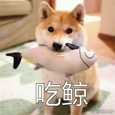 慢病缠身更要警惕带状疱疹找上门 高血压、糖尿病等慢性疾病患者需要特别小心带状疱疹