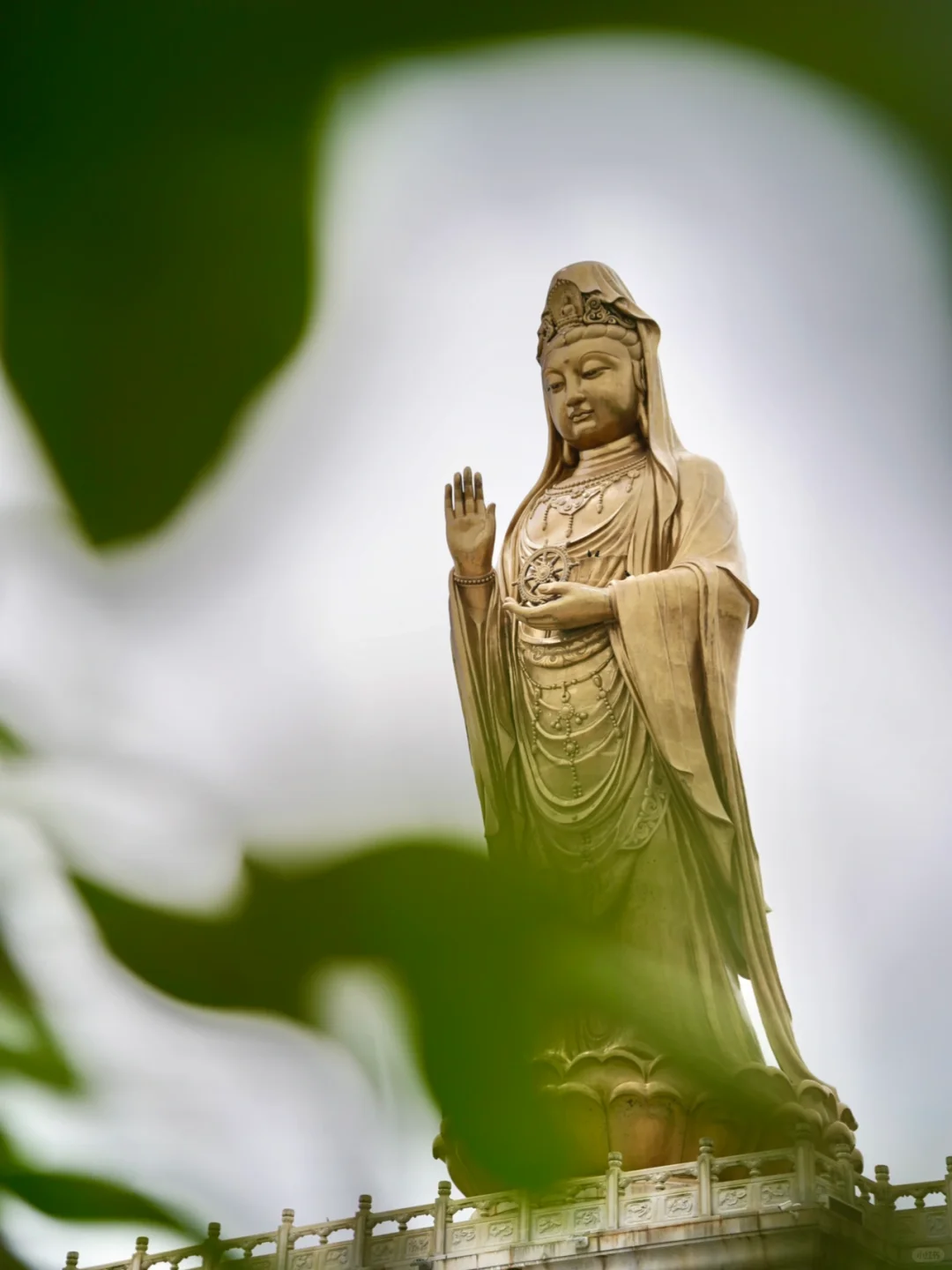 普陀山的能量真的很强！遇见即是上上签🪔