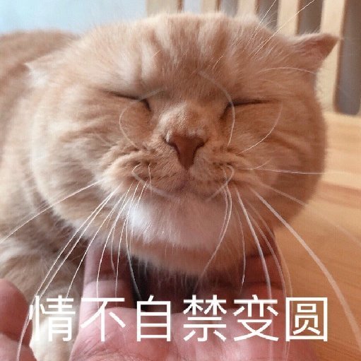#表情包[超话]#情不自禁变圆……[二哈][二哈] ​​​