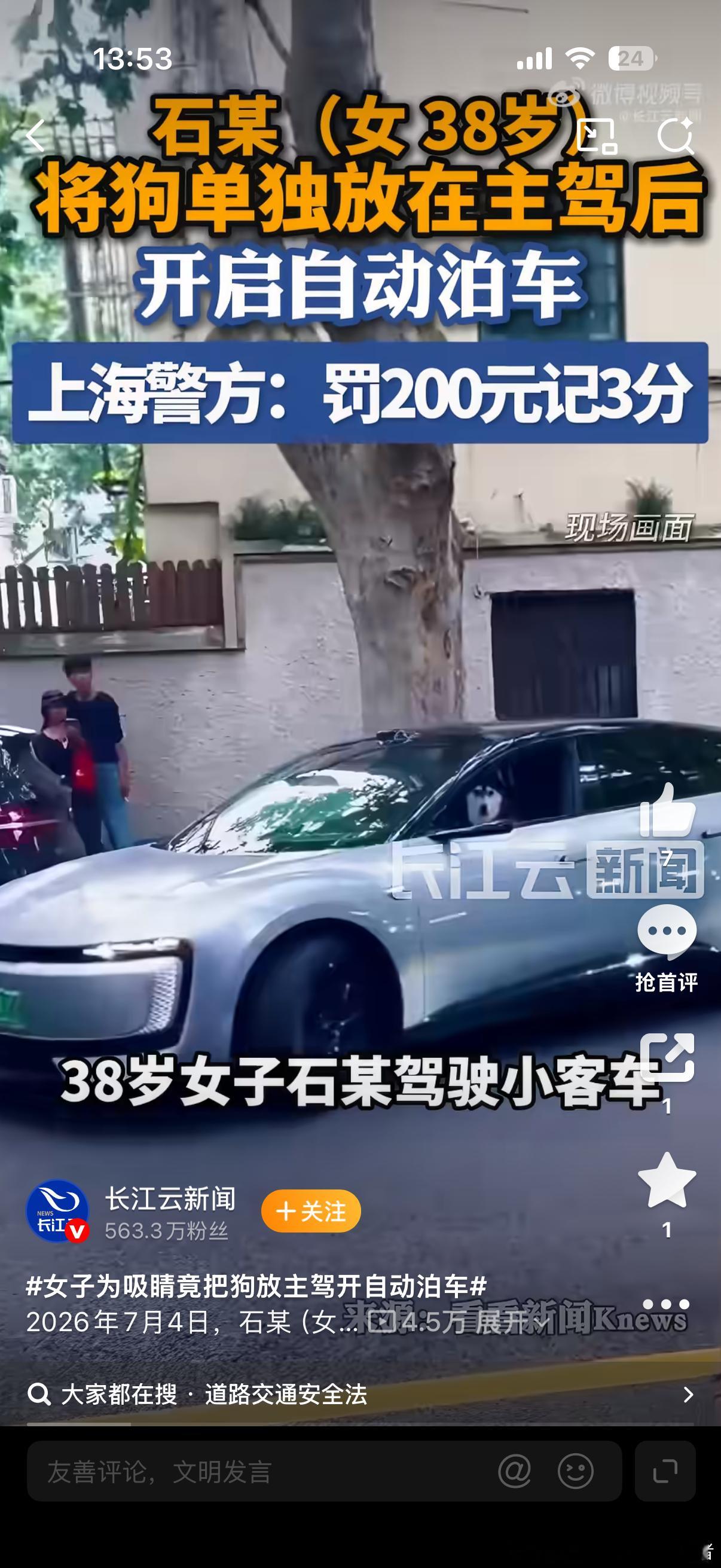 女子为吸睛竟把狗放主驾开自动泊车自动泊车只是辅助驾驶的一环，你可以用自动泊车但主
