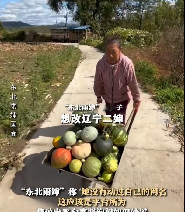 近日，有网友总结称，短视频平台的“东北雨宙”“东北雨家族”现象出圈。虽然目前网红