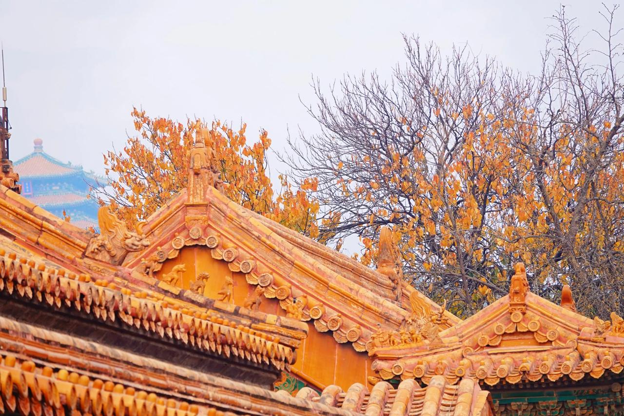 《北京故宫 秋天里的油画》
  #原创# #中国手机摄影# #北京秋景美如画# 