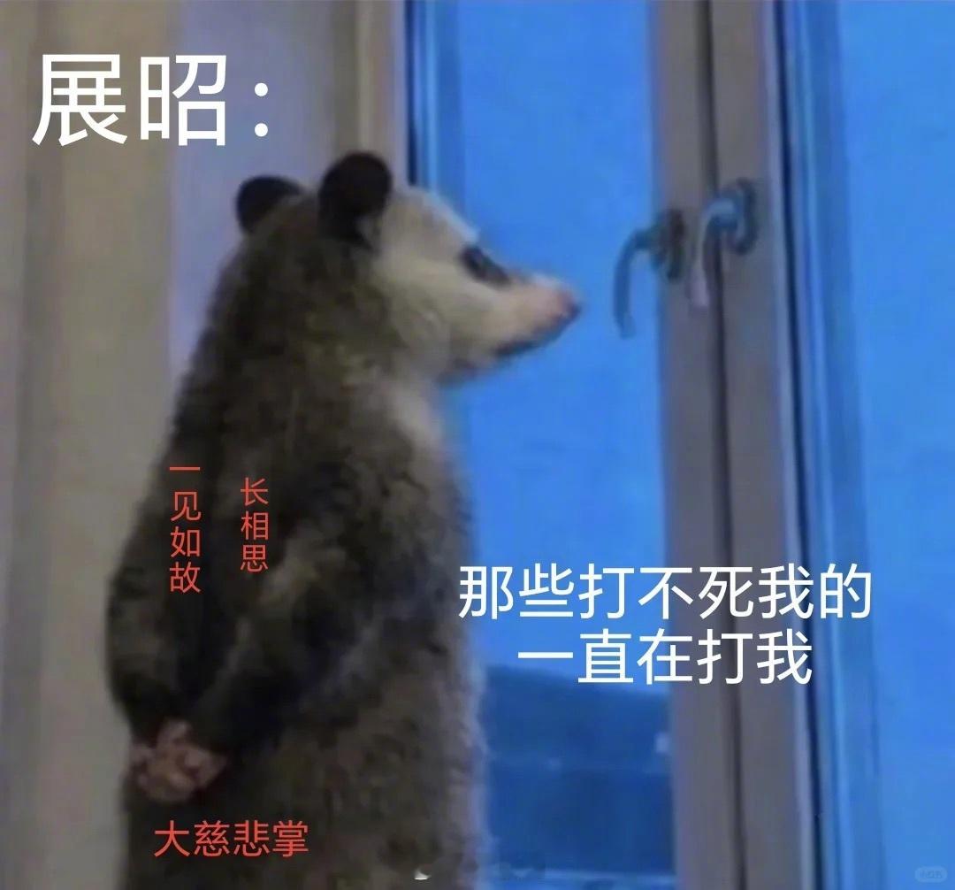 电视剧雨霖铃雨霖铃 负鼠版好形象！！！尤其是那句《据我所知 我一无所知》是我没错