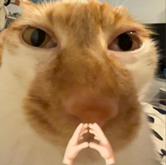 本周做什么都顺的星座天天说顺顺顺，什么时候让我感冒好了再说，一到晚上张嘴说话就像