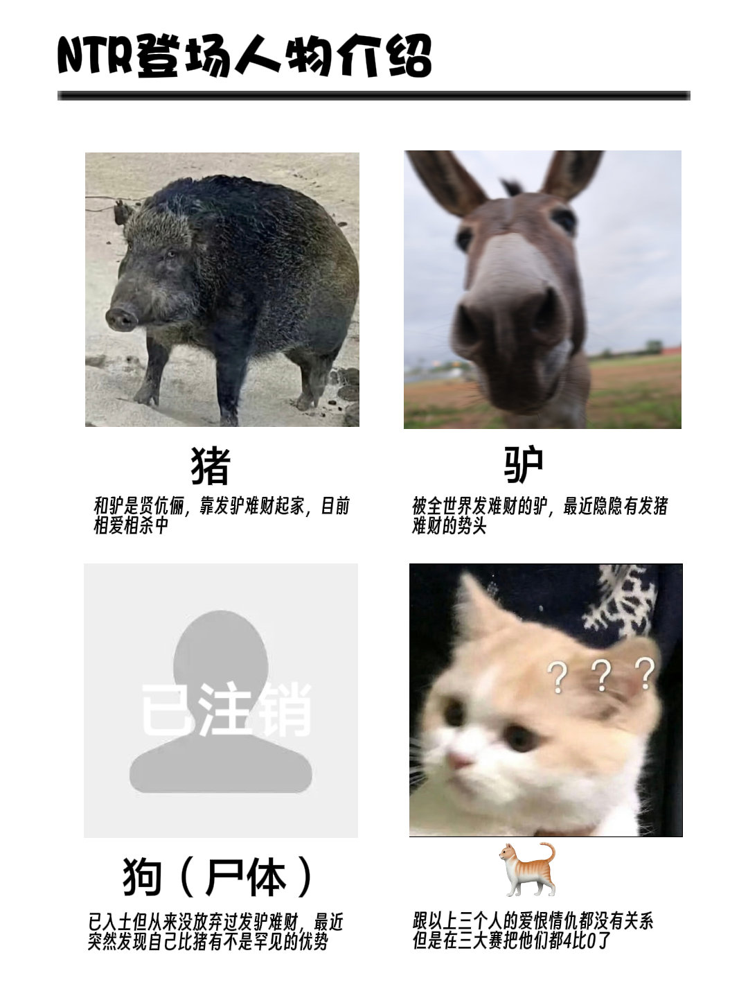 9823咪咪喵喵地走来走去 